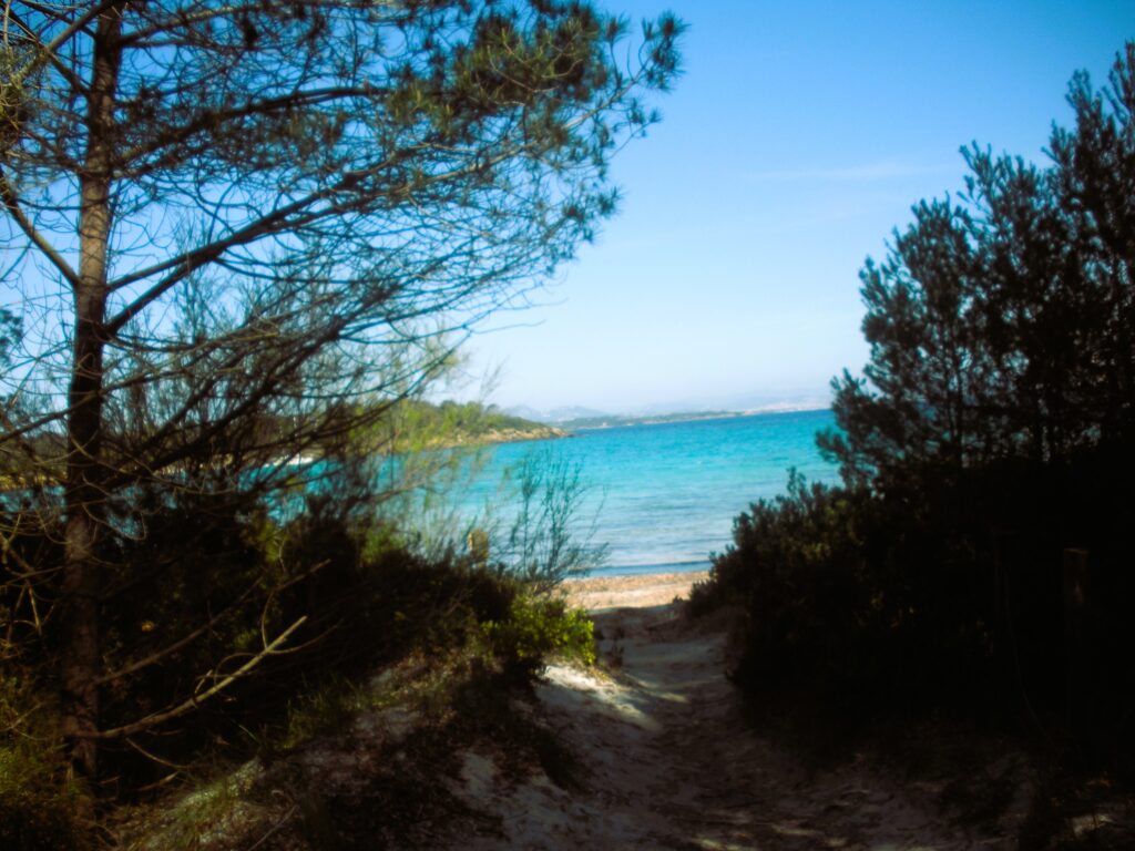 DSCN6551-1024x768 Porquerolles, un angolo di paradiso in Provenza