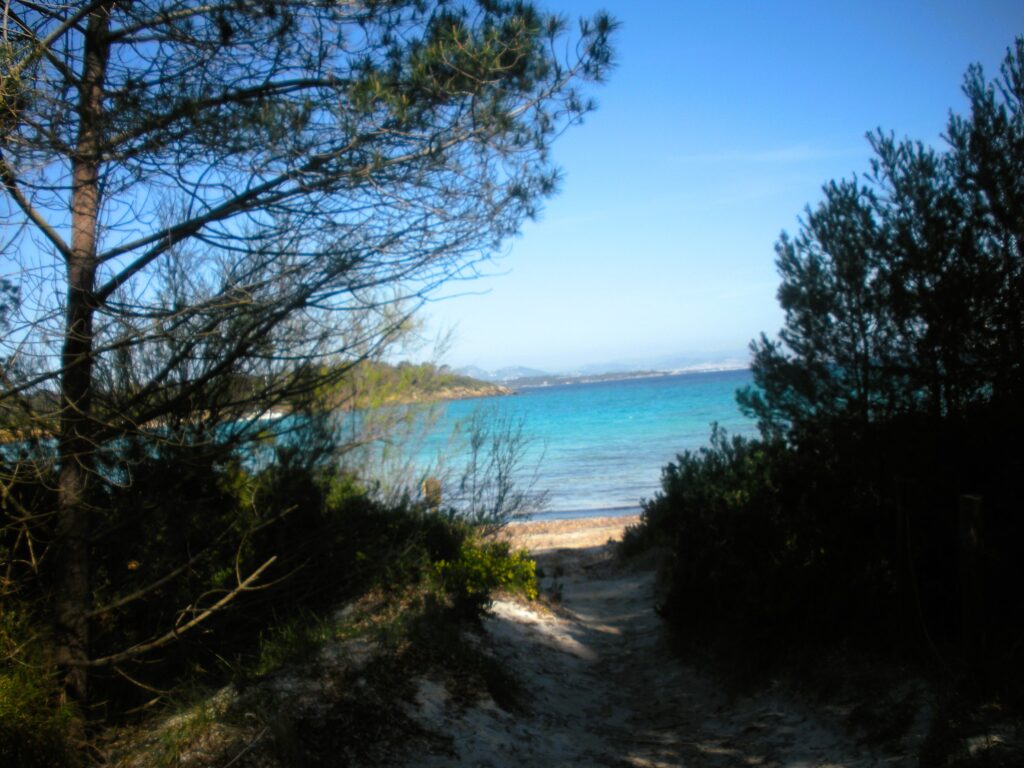porquerolles-1024x768 Com’è nato Un Giorno Un Viaggio